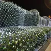 A hedge decorated with white net lights at night. Produktbild-Vorschau