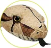 Coppenrath Verlag KG Boa constrictor NZW 0 0 STK Anteprima dell’immagine prodotto 2