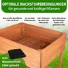 TTL GARDEN Balkon Hochbeet L 80x60x80 cm – Holz Produktbild-Vorschau 4