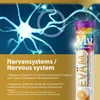 EVÄM Multivitamin + Mineralien Brausetabletten – 12in1 aus Produktbild-Vorschau 2