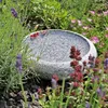 CLGarden Granit Vogelbad Ø 35cm rund Vogeltränke Naturstein Produktbild-Vorschau 6