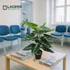 Lacers SMARAGDLINE Künstliche Taro im Topf 2er Set - 60cm Produktbild-Vorschau 4