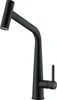 Franke 115.0625.190, Standard, Schwarz, Messing, Produktbild-Vorschau 1
