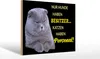 Holzschild Spruch 30x20cm Hund hat Besitzer Katze Personal Produktbild-Vorschau 2