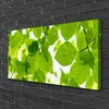 Tulup Leinwand-Bilder 100x50 Wandbild Canvas Kunstdruck Produktbild-Vorschau 2
