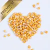25 kg Lyra Pet® Futtermais Qualitätsfutter Körnermais Produktbild-Vorschau 5