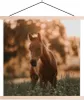MuchoWow® Textilposter Pferd - Licht - Landschaft 40x40 cm Produktbild-Vorschau 1