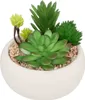 Künstliche fettpflanze zementtopf h10cm  - Atmosphera Produktbild-Vorschau 4