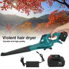 A hand holding a teal leaf blower with a scenic mountain and autumn foliage background. Accessories like a charger and battery are also shown. Produktbild-Vorschau