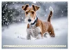 Drahthaar-Foxterrier (Wandkalender 2027 DIN A3 quer), Produktbild-Vorschau 4
