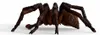 Hračka Schleich Harry Potter - Aragog Anteprima dell’immagine prodotto 22