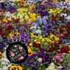 Not my Business Blumensprache Magnet rund Produktbild-Vorschau 3