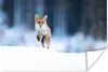 MuchoWow® Poster Fuchs - Schnee - Winter 30x20 cm - Plakate Produktbild-Vorschau 1