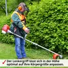 HECHT 142 BTS Freischneider Benzin | mit Tragegurt | 25,4 Produktbild-Vorschau 9
