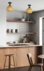 A modern kitchen with wooden cabinets, shelves, and a countertop, featuring two pendant lights. Náhled obrázku produktu