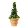 BAMA Blumentopf Chianti 80 cm, terracotta Produktbild-Vorschau 2