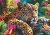 Puzzle 500 elementów. Leopard 20166 Podgląd zdjęcia produktu 6