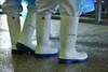 Dunlop Stiefel PuroFort FoodPro MultiGrip safety S4 weiß Produktbild-Vorschau 21