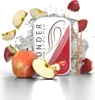 WUNDER Zahnstocher  APPLE  Dose 100 Stück Produktbild-Vorschau 2