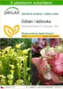 SAFLAX - džbán / láčkovka - Sarracenia flava / S. purpurea Náhled obrázku produktu 1