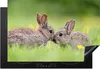 KitchenYeah© Herdabdeckplatte Kaninchen - Baby - Gras , Produktbild-Vorschau 1