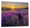 Wallario Herdabdeckplatte aus Glas, Größe 60 x 52 cm Produktbild-Vorschau 1