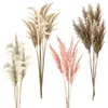 Pampasgras 12er Set 4 Farben Dekogras H90-100cm Produktbild-Vorschau 9