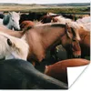 MuchoWow® Poster Pferde - Tiere - Spiel 50x50 cm - Produktbild-Vorschau 1