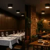 A split image showing two different restaurant settings, both featuring modern ceiling lights. Podgląd zdjęcia produktu