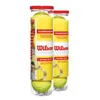Wilson Tennisbälle Tennis Sport Mannschaft Championship 4er Produktbild-Vorschau 8
