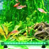 An aquarium with fish, plants, rocks, and an LED light bar. Produktbild-Vorschau