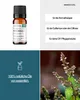 Patchouli (10ml) - naturreines, ätherisches Öl von Produktbild-Vorschau 2