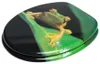 SANILO® WC-bril, kleur: groen (kikkergroen), direct van de Productafbeelding-voorbeeld 2