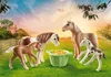 PLAYMOBIL Country 2 Island Ponys mit Fohlen 71000 Produktbild-Vorschau 2
