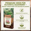 Green Home Olivenbaum- & Oleandererde 18 L – für Produktbild-Vorschau 2