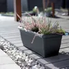 3.11 Fioriera XXL TERRA - plastica 80 x 33 x 33 cm - Anteprima dell’immagine prodotto 5