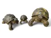 Tortue en pierre - Piscine, jardin, terrasse - Jaunâtre en Voir les images du produit 4