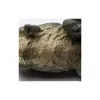 COLLECTA Tyrannosaurus - (L) Produktbild-Vorschau 3