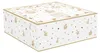Coffret Coupelle étoile Christmas Lights Coupelle Voir les images du produit 3