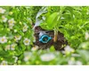 Regulowany kroplownik rzędowy Gardena Podgląd zdjęcia produktu 23