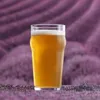LAV Noniq Biergläser – 570 ml (19 1/4 oz), 6er Set Produktbild-Vorschau 8