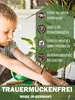 GreenPanda Trauermückenfrei - 40g Pflanzenschutzmittel Produktbild-Vorschau 2