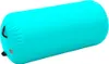 vidaXL Nafukovací gymnastická role s pumpou 120x90 cm PVC Náhled obrázku produktu 1