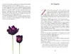 Limitierte Sonderausgabe: Stolz und Vorurteil Produktbild-Vorschau 14