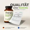 Magnesiumcitrat Hochdosiert Kapseln 180 St. (107% NRV / 2 Produktbild-Vorschau 3