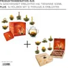 Creano Teeblumen Mix - Geschenkset ErblühTee mit Glaskanne Produktbild-Vorschau 4
