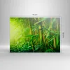 Bild auf Leinwand - Leinwandbild - Bambus Pflanze - 70x50cm Produktbild-Vorschau 3
