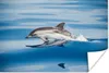 MuchoWow® Poster Delfin - Wasser - Tiere 60x40 cm - Produktbild-Vorschau 1