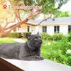 Aopunly rete per gatti da balcone Rete trasparente per Anteprima dell’immagine prodotto 3