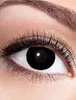 Eyecatcher Color Fun - Farbige  Kontaktlinsen  Black Witch  Produktbild-Vorschau 6